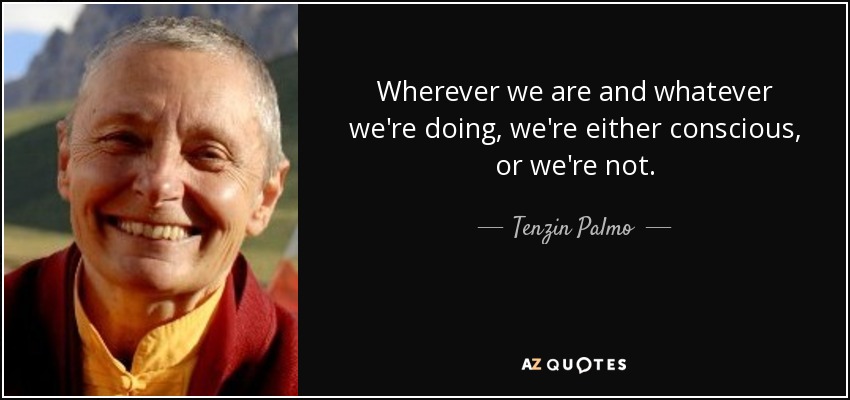 Wherever we are and whatever we're doing, we're either conscious, or we're not. - Tenzin Palmo