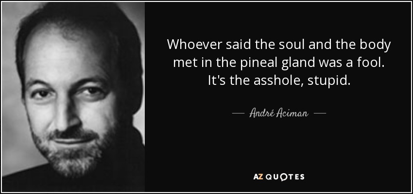 Whoever said the soul and the body met in the pineal gland was a fool. It's the asshole, stupid. - André Aciman
