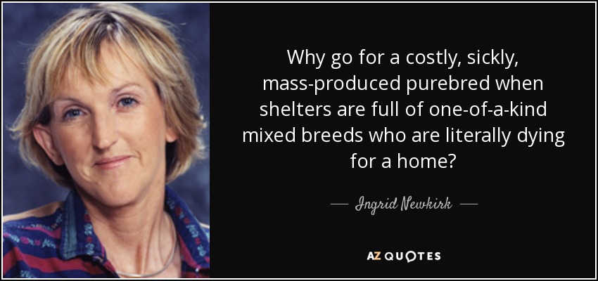 Why go for a costly, sickly, mass-produced purebred when shelters are full of one-of-a-kind mixed breeds who are literally dying for a home? - Ingrid Newkirk