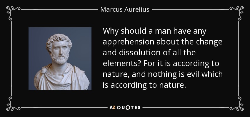 Why should a man have any apprehension about the change and dissolution of all the elements? For it is according to nature, and nothing is evil which is according to nature. - Marcus Aurelius