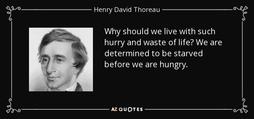Why should we live with such hurry and waste of life? We are determined to be starved before we are hungry. - Henry David Thoreau