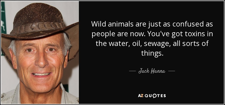 Wild animals are just as confused as people are now. You've got toxins in the water, oil, sewage, all sorts of things. - Jack Hanna