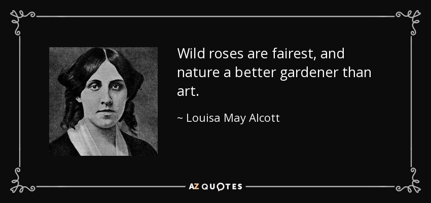 Wild roses are fairest, and nature a better gardener than art. - Louisa May Alcott
