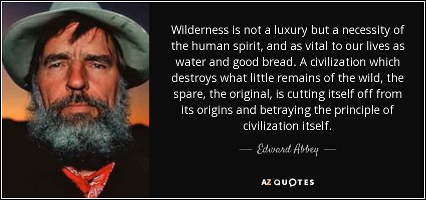 Wilderness is not a luxury but a necessity of the human spirit, and as vital to our lives as water and good bread. A civilization which destroys what little remains of the wild, the spare, the original, is cutting itself off from its origins and betraying the principle of civilization itself. - Edward Abbey