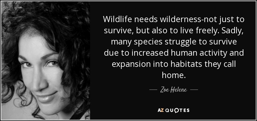 Wildlife needs wilderness-not just to survive, but also to live freely. Sadly, many species struggle to survive due to increased human activity and expansion into habitats they call home. - Zoe Helene