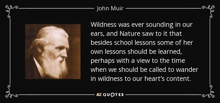 Wildness was ever sounding in our ears, and Nature saw to it that besides school lessons some of her own lessons should be learned, perhaps with a view to the time when we should be called to wander in wildness to our heart’s content. - John Muir