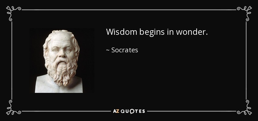 Wisdom begins in wonder. - Socrates
