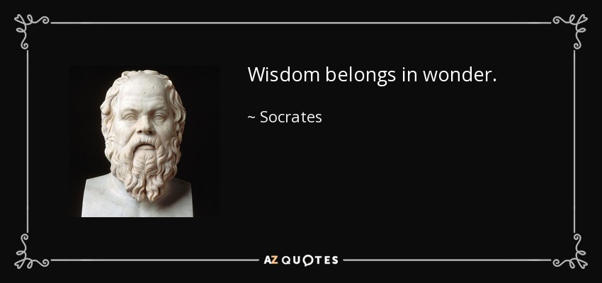 Wisdom belongs in wonder. - Socrates