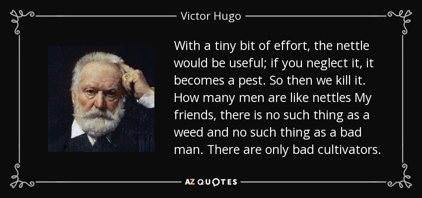 With a tiny bit of effort, the nettle would be useful; if you neglect it, it becomes a pest. So then we kill it. How many men are like nettles My friends, there is no such thing as a weed and no such thing as a bad man. There are only bad cultivators. - Victor Hugo