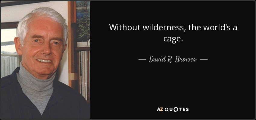 Without wilderness, the world's a cage. - David R. Brower