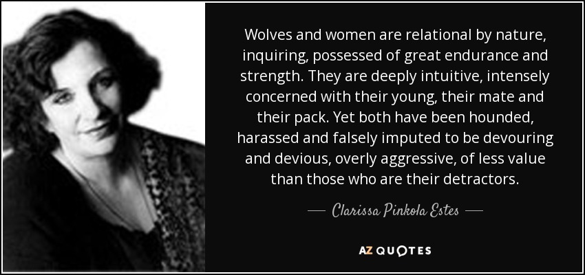 Wolves and women are relational by nature, inquiring, possessed of great endurance and strength. They are deeply intuitive, intensely concerned with their young, their mate and their pack. Yet both have been hounded, harassed and falsely imputed to be devouring and devious, overly aggressive, of less value than those who are their detractors. - Clarissa Pinkola Estes