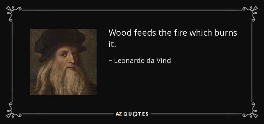 Wood feeds the fire which burns it. - Leonardo da Vinci