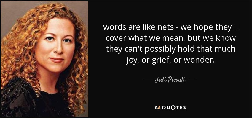words are like nets - we hope they'll cover what we mean, but we know they can't possibly hold that much joy, or grief, or wonder. - Jodi Picoult