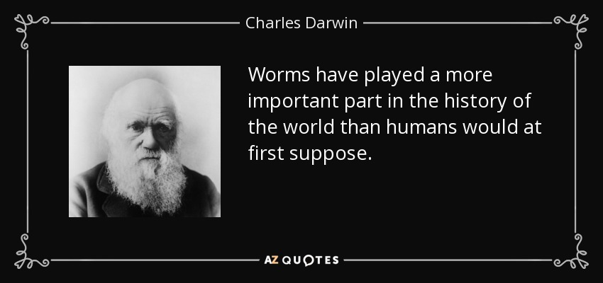 Worms have played a more important part in the history of the world than humans would at first suppose. - Charles Darwin
