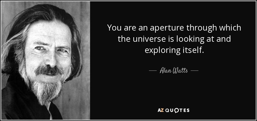 You are an aperture through which the universe is looking at and exploring itself. - Alan Watts