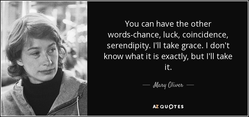 You can have the other words-chance, luck, coincidence, serendipity. I'll take grace. I don't know what it is exactly, but I'll take it. - Mary Oliver