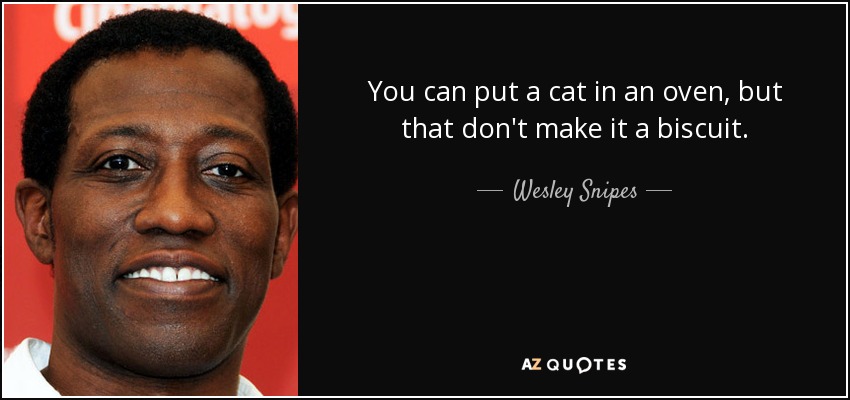 You can put a cat in an oven, but that don't make it a biscuit. - Wesley Snipes
