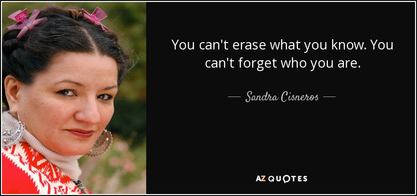 You can't erase what you know. You can't forget who you are. - Sandra Cisneros