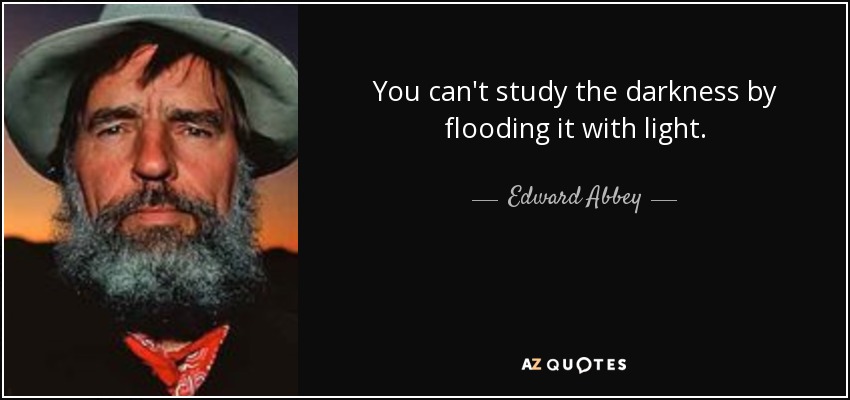 You can't study the darkness by flooding it with light. - Edward Abbey