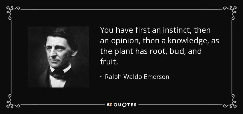 You have first an instinct, then an opinion, then a knowledge, as the plant has root, bud, and fruit. - Ralph Waldo Emerson