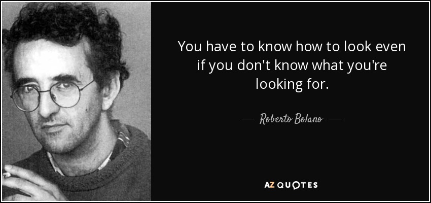 You have to know how to look even if you don't know what you're looking for. - Roberto Bolano