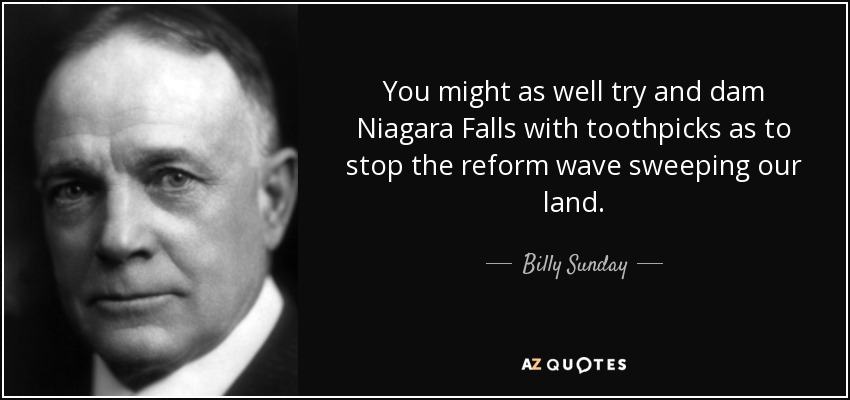 You might as well try and dam Niagara Falls with toothpicks as to stop the reform wave sweeping our land. - Billy Sunday