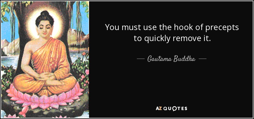 You must use the hook of precepts to quickly remove it. - Gautama Buddha