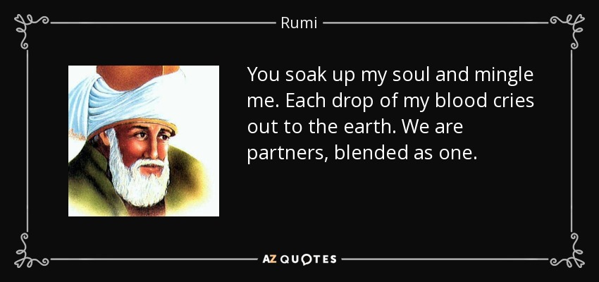 You soak up my soul and mingle me. Each drop of my blood cries out to the earth. We are partners, blended as one. - Rumi