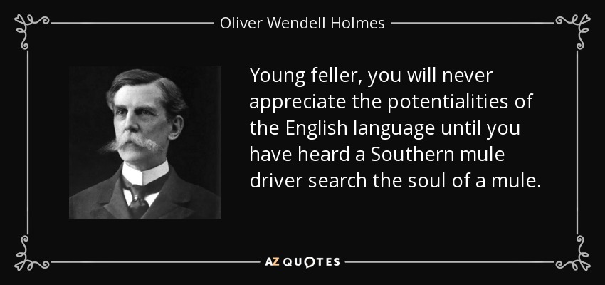 Young feller, you will never appreciate the potentialities of the English language until you have heard a Southern mule driver search the soul of a mule. - Oliver Wendell Holmes, Jr.