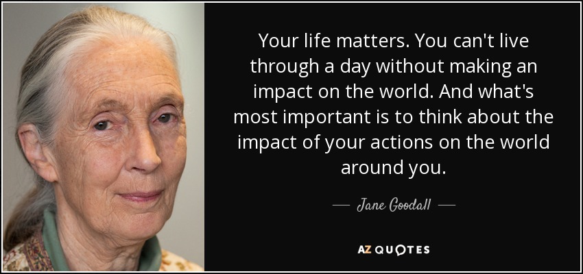 Your life matters. You can't live through a day without making an impact on the world. And what's most important is to think about the impact of your actions on the world around you. - Jane Goodall