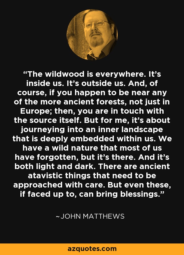 The wildwood is everywhere. It's inside us. It's outside us. And, of course, if you happen to be near any of the more ancient forests, not just in Europe; then, you are in touch with the source itself. But for me, it's about journeying into an inner landscape that is deeply embedded within us. We have a wild nature that most of us have forgotten, but it's there. And it's both light and dark. There are ancient atavistic things that need to be approached with care. But even these, if faced up to, can bring blessings. - John Matthews