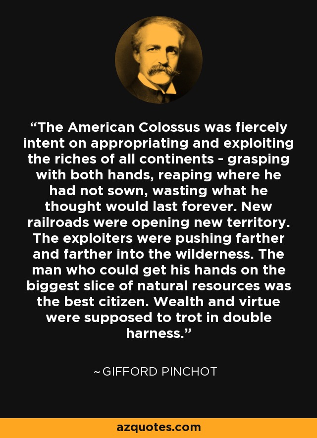 The American Colossus was fiercely intent on appropriating and exploiting the riches of all continents - grasping with both hands, reaping where he had not sown, wasting what he thought would last forever. New railroads were opening new territory. The exploiters were pushing farther and farther into the wilderness. The man who could get his hands on the biggest slice of natural resources was the best citizen. Wealth and virtue were supposed to trot in double harness. - Gifford Pinchot