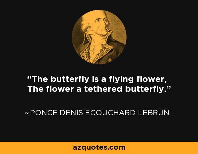 The butterfly is a flying flower, The flower a tethered butterfly. - Ponce Denis Ecouchard Lebrun