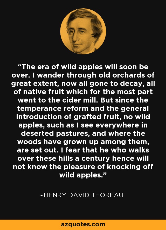 Wild Apples by Henry David Thoreau