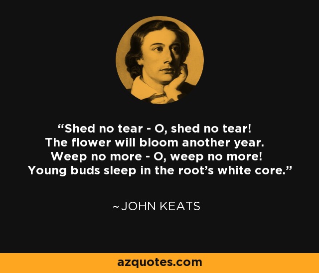 Shed no tear - O, shed no tear! The flower will bloom another year. Weep no more - O, weep no more! Young buds sleep in the root's white core. - John Keats