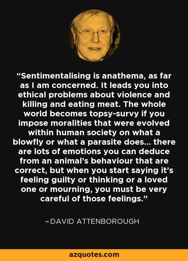 Sentimentalising is anathema, as far as I am concerned. It leads you into ethical problems about violence and killing and eating meat. The whole world becomes topsy-survy if you impose moralities that were evolved within human society on what a blowfly or what a parasite does... there are lots of emotions you can deduce from an animal's behaviour that are correct, but when you start saying it's feeling guilty or thinking or a loved one or mourning, you must be very careful of those feelings. - David Attenborough