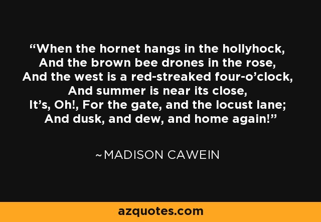 When the hornet hangs in the hollyhock, And the brown bee drones in the rose, And the west is a red-streaked four-o'clock, And summer is near its close, It's, Oh!, For the gate, and the locust lane; And dusk, and dew, and home again! - Madison Cawein