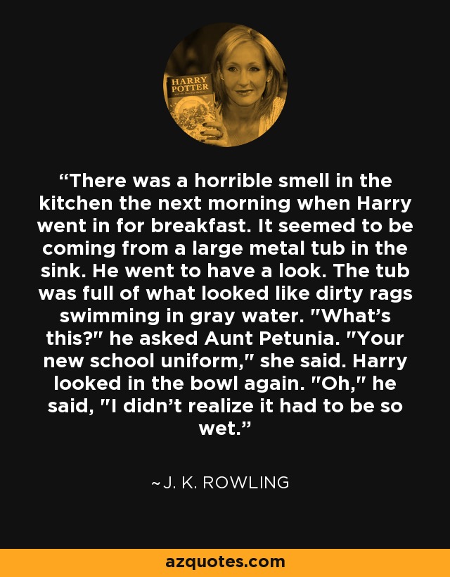 There was a horrible smell in the kitchen the next morning when Harry went in for breakfast. It seemed to be coming from a large metal tub in the sink. He went to have a look. The tub was full of what looked like dirty rags swimming in gray water. 