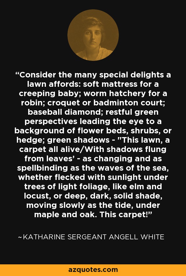 Consider the many special delights a lawn affords: soft mattress for a creeping baby; worm hatchery for a robin; croquet or badminton court; baseball diamond; restful green perspectives leading the eye to a background of flower beds, shrubs, or hedge; green shadows - 