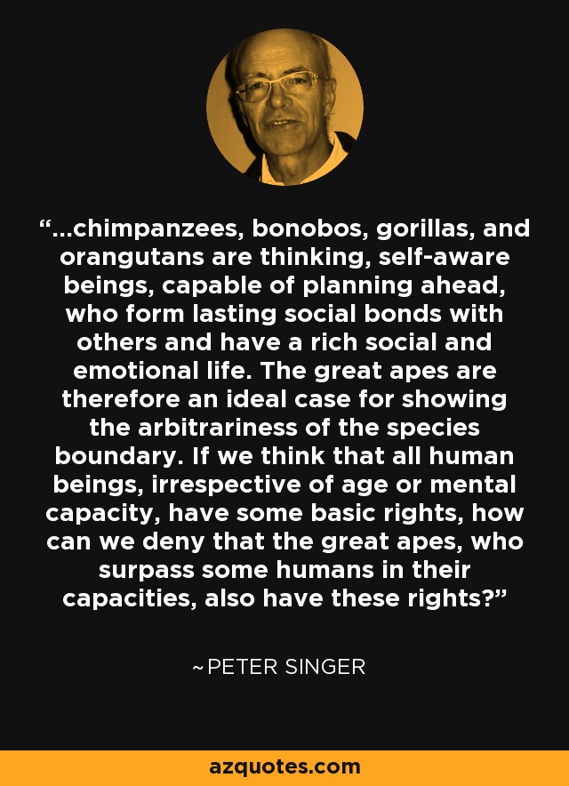 ...chimpanzees, bonobos, gorillas, and orangutans are thinking, self-aware beings, capable of planning ahead, who form lasting social bonds with others and have a rich social and emotional life. The great apes are therefore an ideal case for showing the arbitrariness of the species boundary. If we think that all human beings, irrespective of age or mental capacity, have some basic rights, how can we deny that the great apes, who surpass some humans in their capacities, also have these rights? - Peter Singer