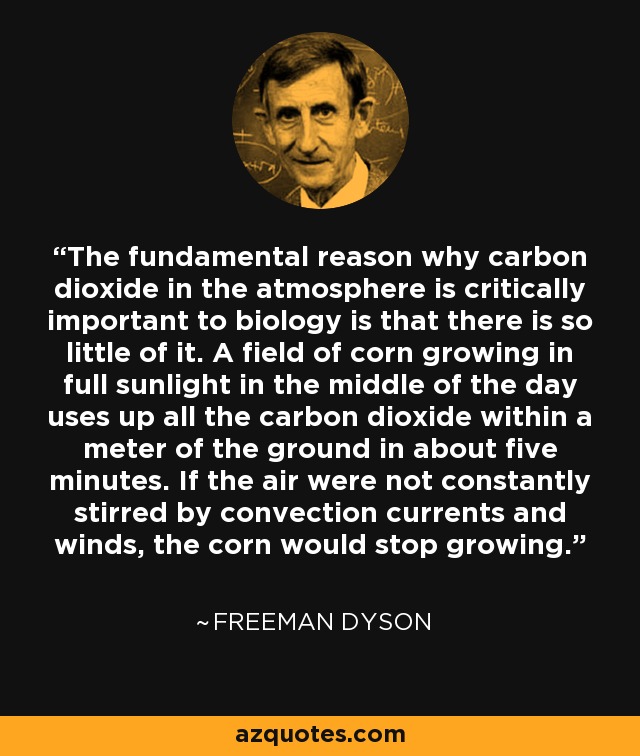 The fundamental reason why carbon dioxide in the atmosphere is critically important to biology is that there is so little of it. A field of corn growing in full sunlight in the middle of the day uses up all the carbon dioxide within a meter of the ground in about five minutes. If the air were not constantly stirred by convection currents and winds, the corn would stop growing. - Freeman Dyson
