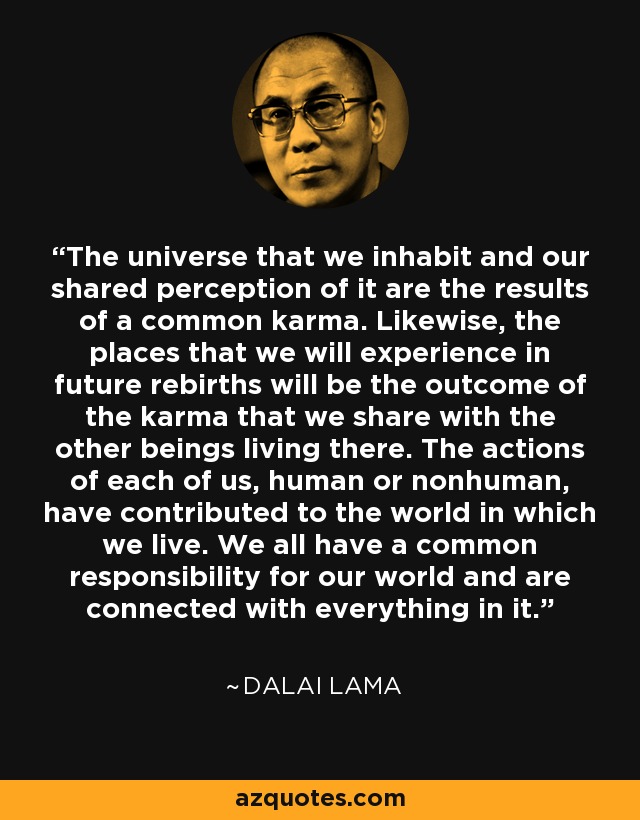 The universe that we inhabit and our shared perception of it are the results of a common karma. Likewise, the places that we will experience in future rebirths will be the outcome of the karma that we share with the other beings living there. The actions of each of us, human or nonhuman, have contributed to the world in which we live. We all have a common responsibility for our world and are connected with everything in it. - Dalai Lama