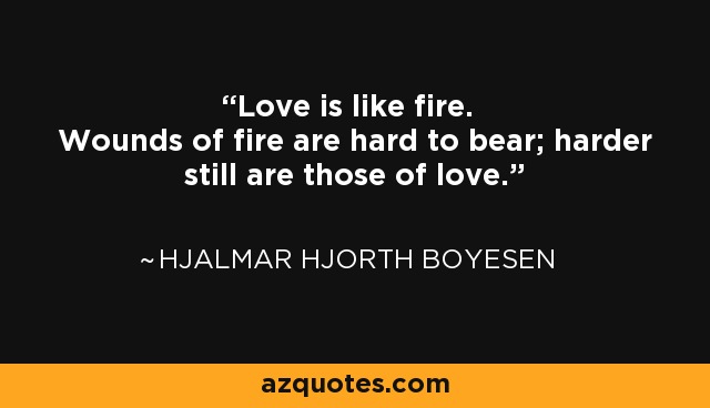 Love is like fire. Wounds of fire are hard to bear; harder still are those of love. - Hjalmar Hjorth Boyesen