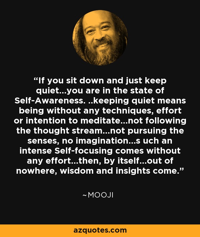 If you sit down and just keep quiet...you are in the state of Self-Awareness. ..keeping quiet means being without any techniques, effort or intention to meditate...not following the thought stream...not pursuing the senses, no imagination...s uch an intense Self-focusing comes without any effort...then, by itself...out of nowhere, wisdom and insights come. - Mooji