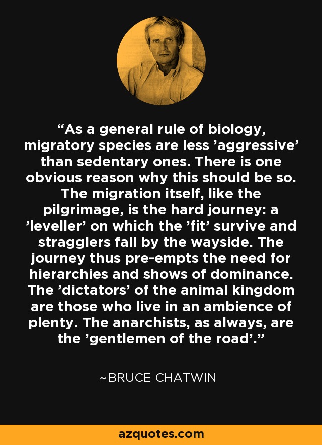 As a general rule of biology, migratory species are less 'aggressive' than sedentary ones. There is one obvious reason why this should be so. The migration itself, like the pilgrimage, is the hard journey: a 'leveller' on which the 'fit' survive and stragglers fall by the wayside. The journey thus pre-empts the need for hierarchies and shows of dominance. The 'dictators' of the animal kingdom are those who live in an ambience of plenty. The anarchists, as always, are the 'gentlemen of the road'. - Bruce Chatwin