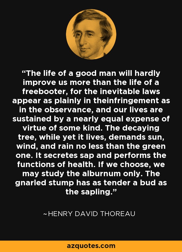 The life of a good man will hardly improve us more than the life of a freebooter, for the inevitable laws appear as plainly in theinfringement as in the observance, and our lives are sustained by a nearly equal expense of virtue of some kind. The decaying tree, while yet it lives, demands sun, wind, and rain no less than the green one. It secretes sap and performs the functions of health. If we choose, we may study the alburnum only. The gnarled stump has as tender a bud as the sapling. - Henry David Thoreau