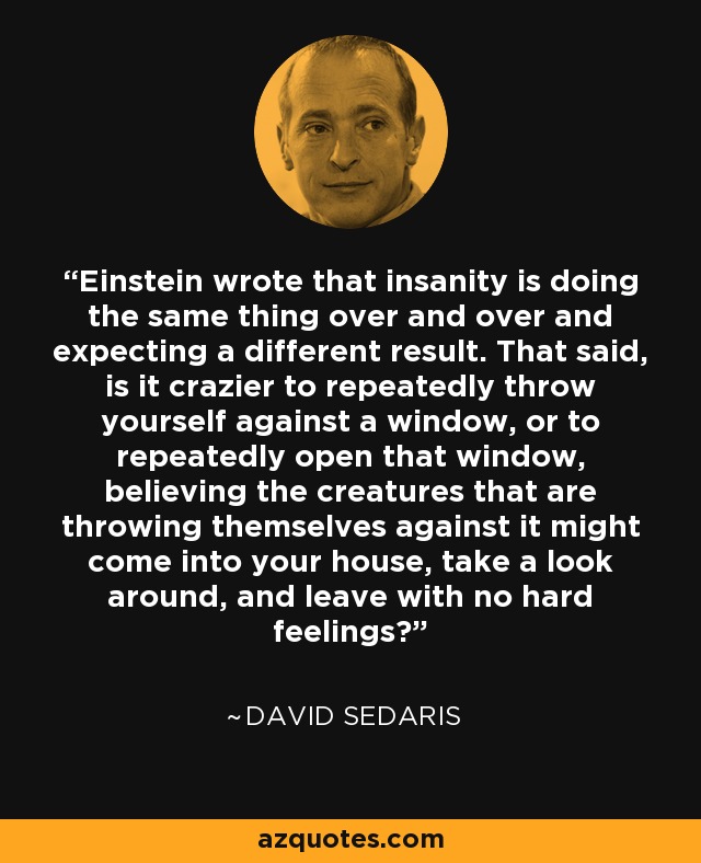 Einstein wrote that insanity is doing the same thing over and over and expecting a different result. That said, is it crazier to repeatedly throw yourself against a window, or to repeatedly open that window, believing the creatures that are throwing themselves against it might come into your house, take a look around, and leave with no hard feelings? - David Sedaris