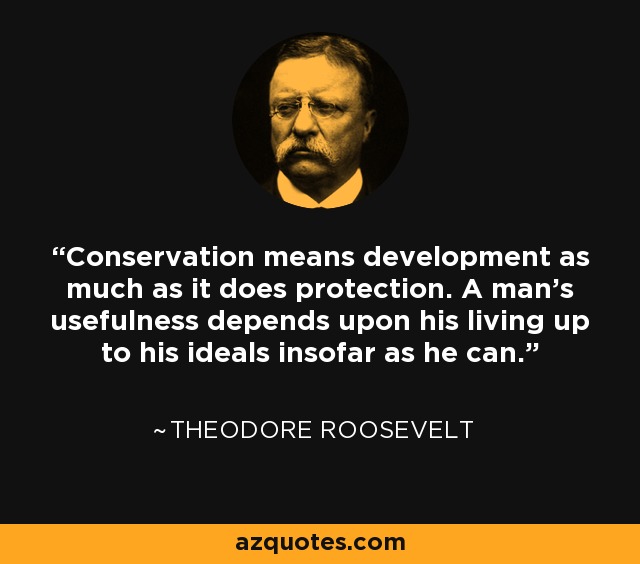 Conservation means development as much as it does protection. A man's usefulness depends upon his living up to his ideals insofar as he can. - Theodore Roosevelt
