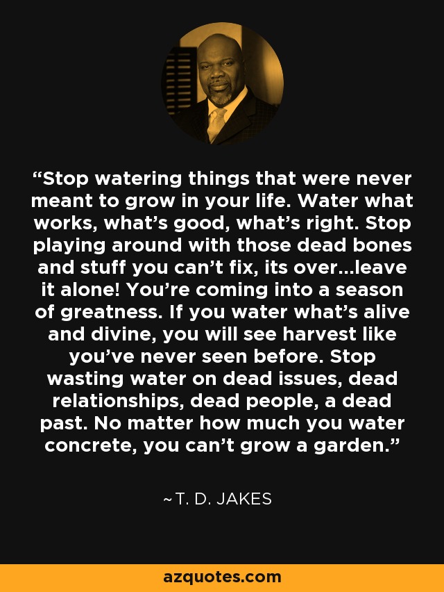 Stop watering things that were never meant to grow in your life. Water what works, what's good, what's right. Stop playing around with those dead bones and stuff you can't fix, its over...leave it alone! You're coming into a season of greatness. If you water what's alive and divine, you will see harvest like you've never seen before. Stop wasting water on dead issues, dead relationships, dead people, a dead past. No matter how much you water concrete, you can't grow a garden. - T. D. Jakes