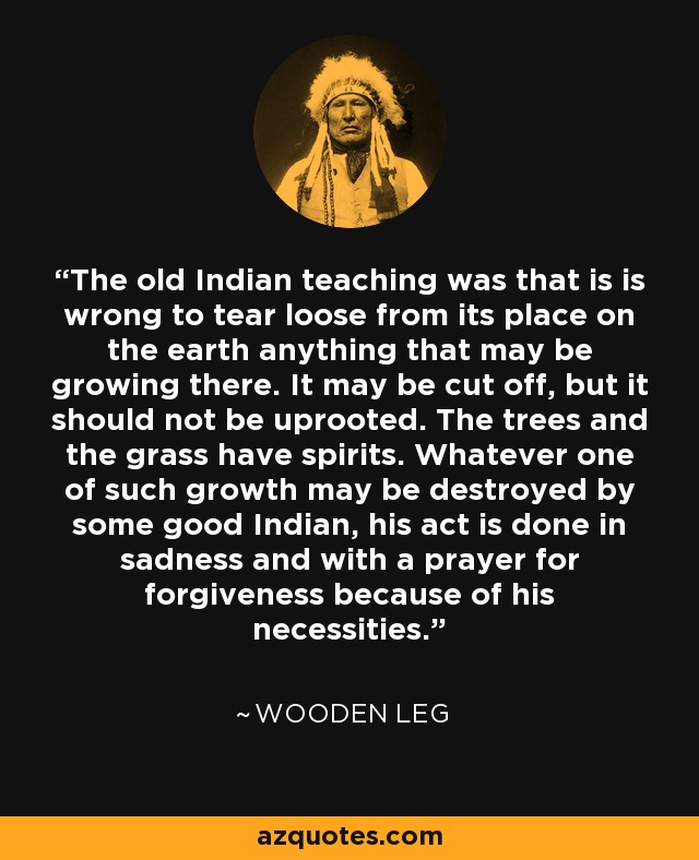 The old Indian teaching was that is is wrong to tear loose from its place on the earth anything that may be growing there. It may be cut off, but it should not be uprooted. The trees and the grass have spirits. Whatever one of such growth may be destroyed by some good Indian, his act is done in sadness and with a prayer for forgiveness because of his necessities. - Wooden Leg